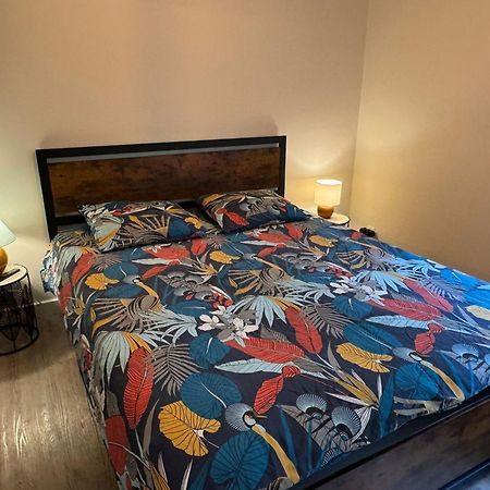 Residence Bois Du Bouchet, Appartement Vue Montagne, Calme, Parking Gratuit, Proche Centre شامونكس المظهر الخارجي الصورة