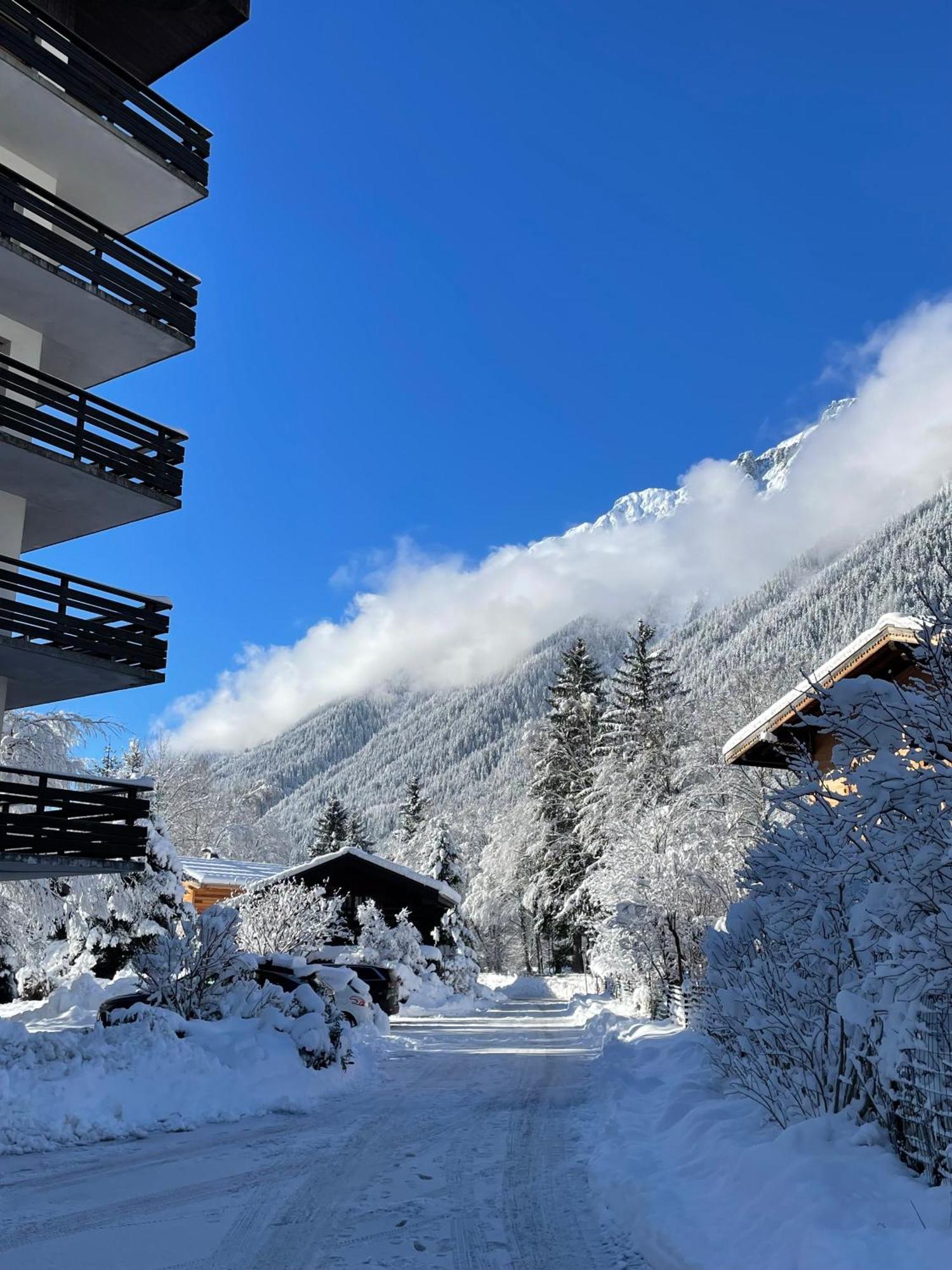 Residence Bois Du Bouchet, Appartement Vue Montagne, Calme, Parking Gratuit, Proche Centre شامونكس المظهر الخارجي الصورة