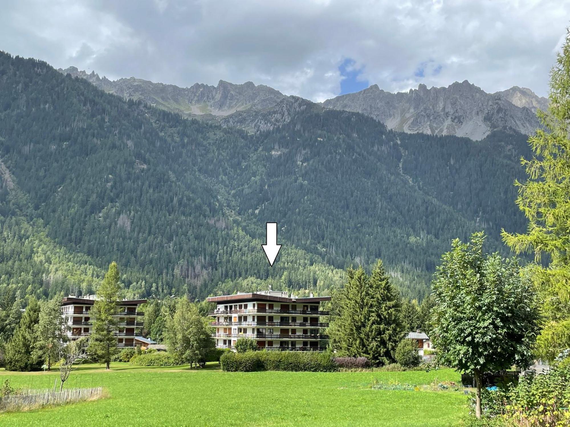 Residence Bois Du Bouchet, Appartement Vue Montagne, Calme, Parking Gratuit, Proche Centre شامونكس المظهر الخارجي الصورة